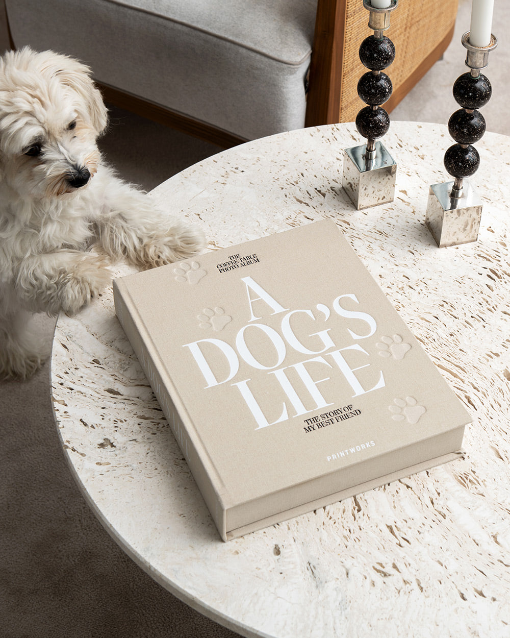 Dog Set