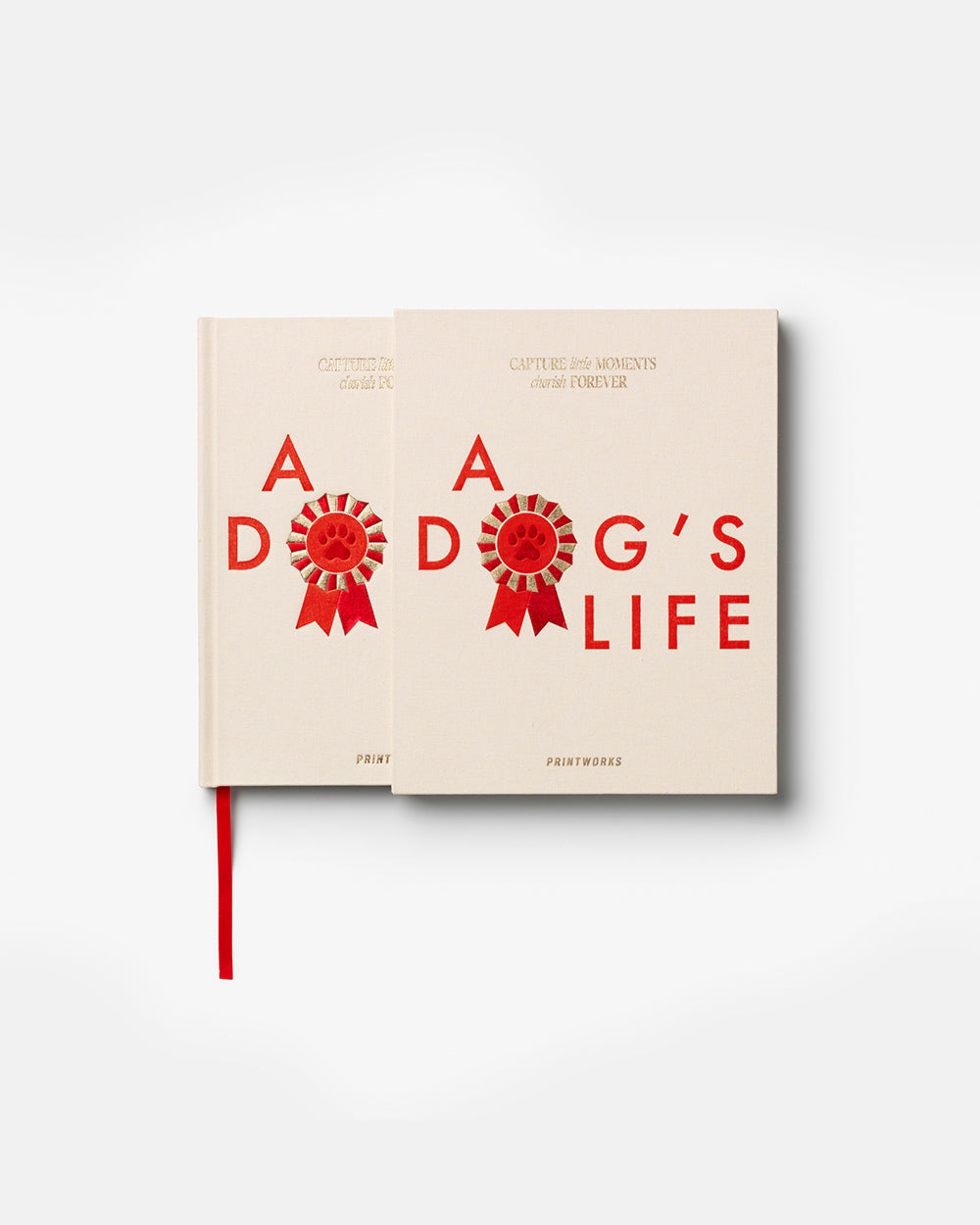 A Dog