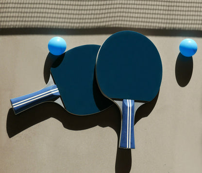 Ping Pong - Portable Table Tennis