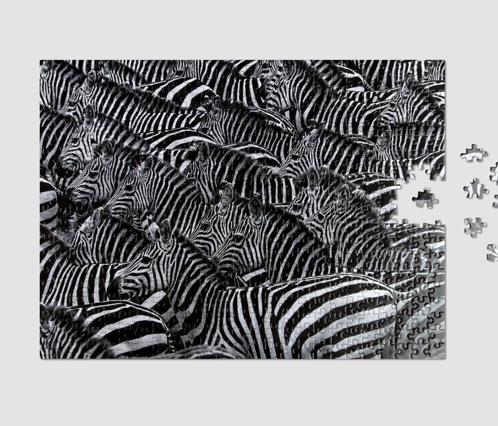 Puzzle - Zebra (500 pieces)